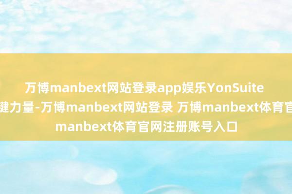 万博manbext网站登录app娱乐YonSuite 是不行或缺的关键力量-万博manbext网站登录 万博manbext体育官网注册账号入口