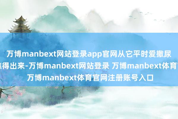 万博manbext网站登录app官网从它平时爱撒尿占土地这点就能瞧得出来-万博manbext网站登录 万博manbext体育官网注册账号入口